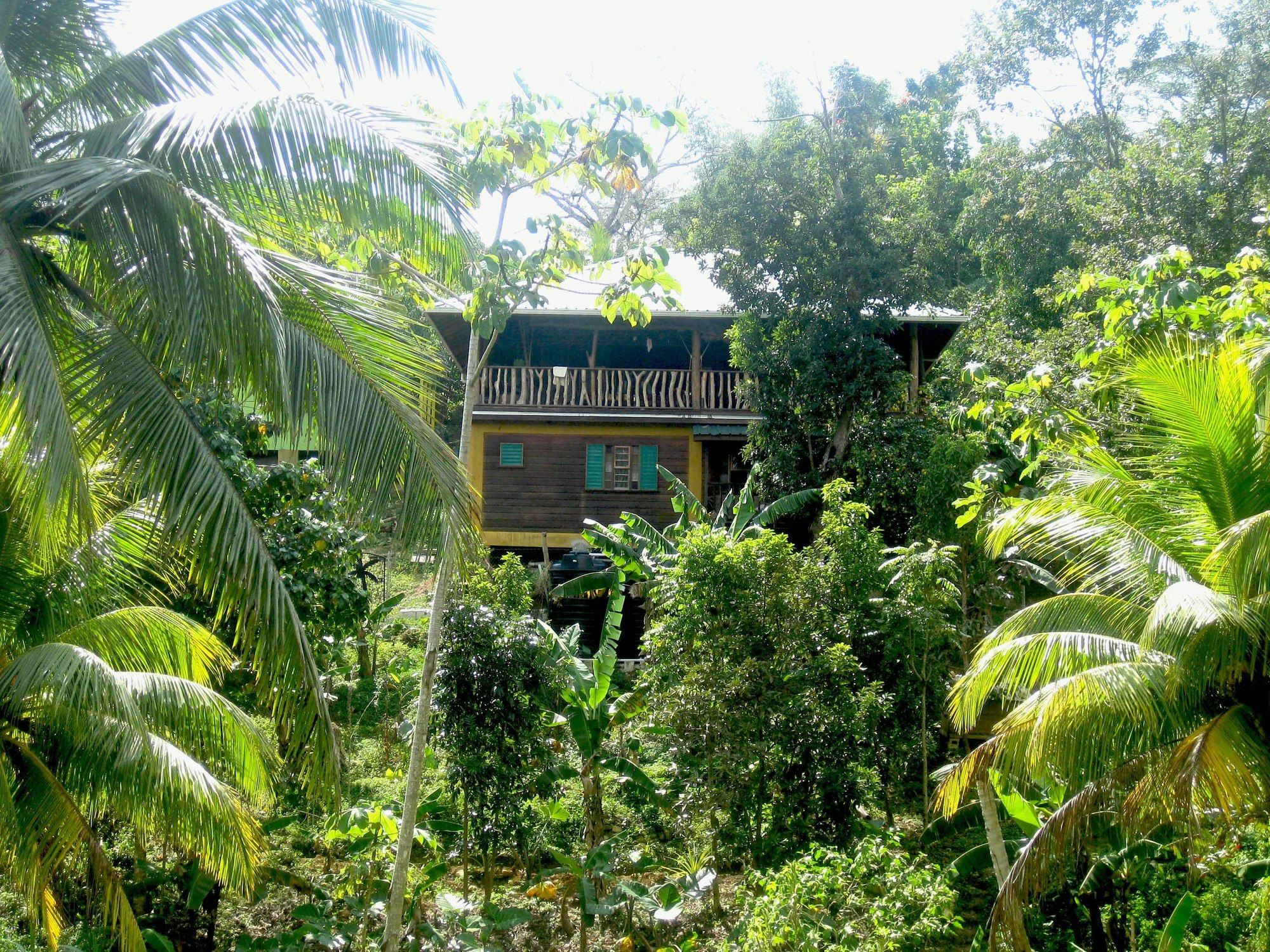 Zimbali Culinary Retreats Villa Negril Buitenkant foto