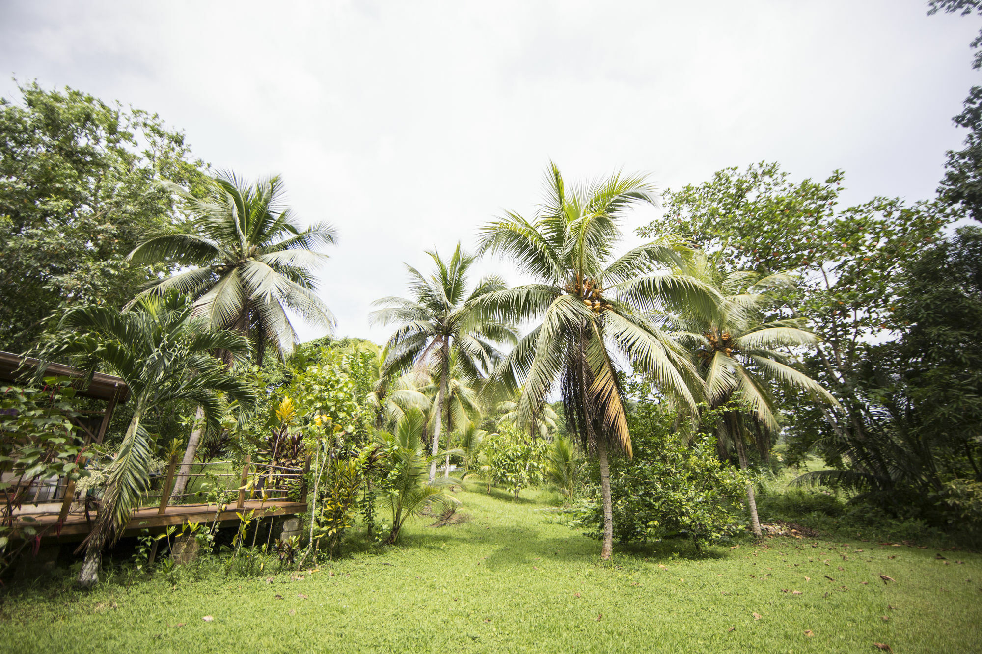 Zimbali Culinary Retreats Villa Negril Buitenkant foto