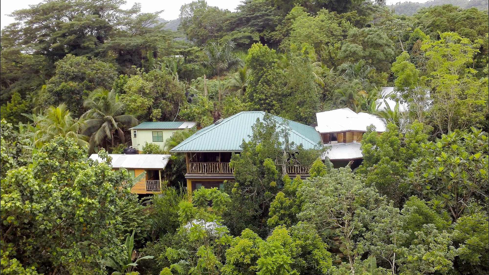 Zimbali Culinary Retreats Villa Negril Buitenkant foto